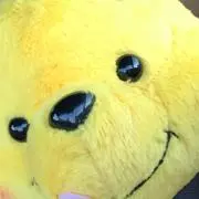 ぷーの画像