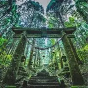 餅米（プロフご一読ください）※値下不可の画像