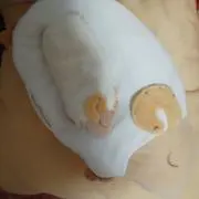 へオン