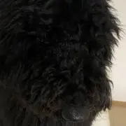 gintaの画像