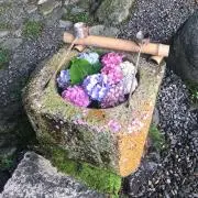 cheの画像