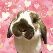 ♪らいたん♪の画像