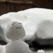 ichiの画像