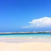 sbqxbの画像
