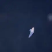 mizu
