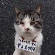 かーくんの画像