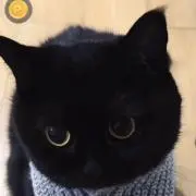 ジルの画像