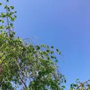 t.y⭐︎の画像