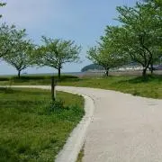 tomtomの画像