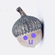 どんぐり（プロフ必読）の画像