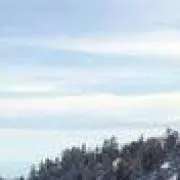 すず