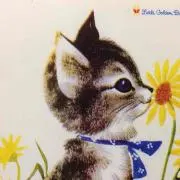 チーかまの画像
