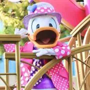 dnみーの画像