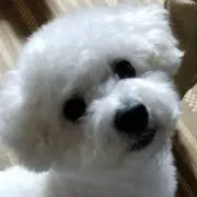 かずえ