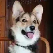 なべ　プロフィール読んでくださいの画像