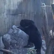Keee1の画像