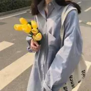 .tの画像