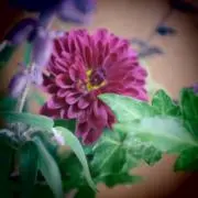 りょう 平日発送の画像
