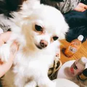 山田さん