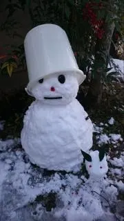 ちゃぼすんの画像