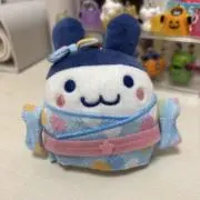 ぱちゃの画像