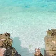Marinの画像