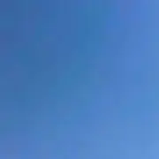 埼玉紅さそり隊の画像