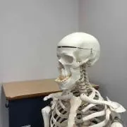 鷹人