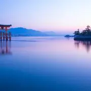 サラの画像