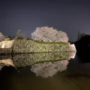 ま♪の画像