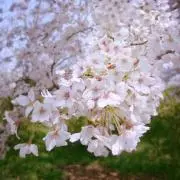 えとわーる