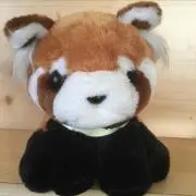 かーさん