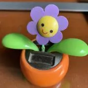 ひまわりの画像
