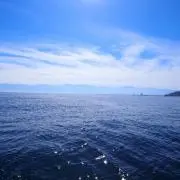 CHI-MALUの画像