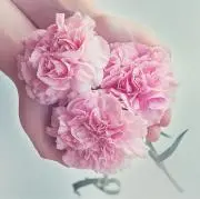 ♡プロフ必読♡の画像