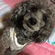 うらら