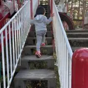れんげの画像