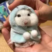 出品後2週間でセカンドストリート行きの画像