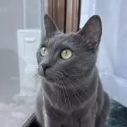 ももっちの画像