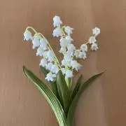 すずらんの画像