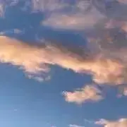 むにの画像