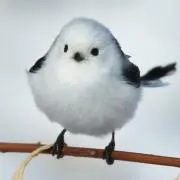 ゆっきの画像