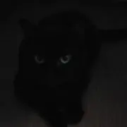 さえきの画像
