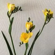 rmの画像