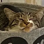 ユユママの画像