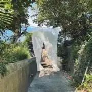 saの画像