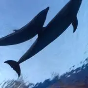 まる