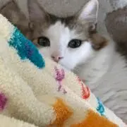 エリー