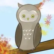 ゆず吉の画像