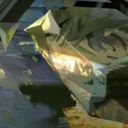 おにぎりの画像